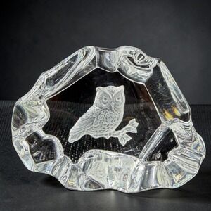 Vintage Frosted Intaglio Owl Bird Crystal Glass Paperweight Ice Rock Art Glass